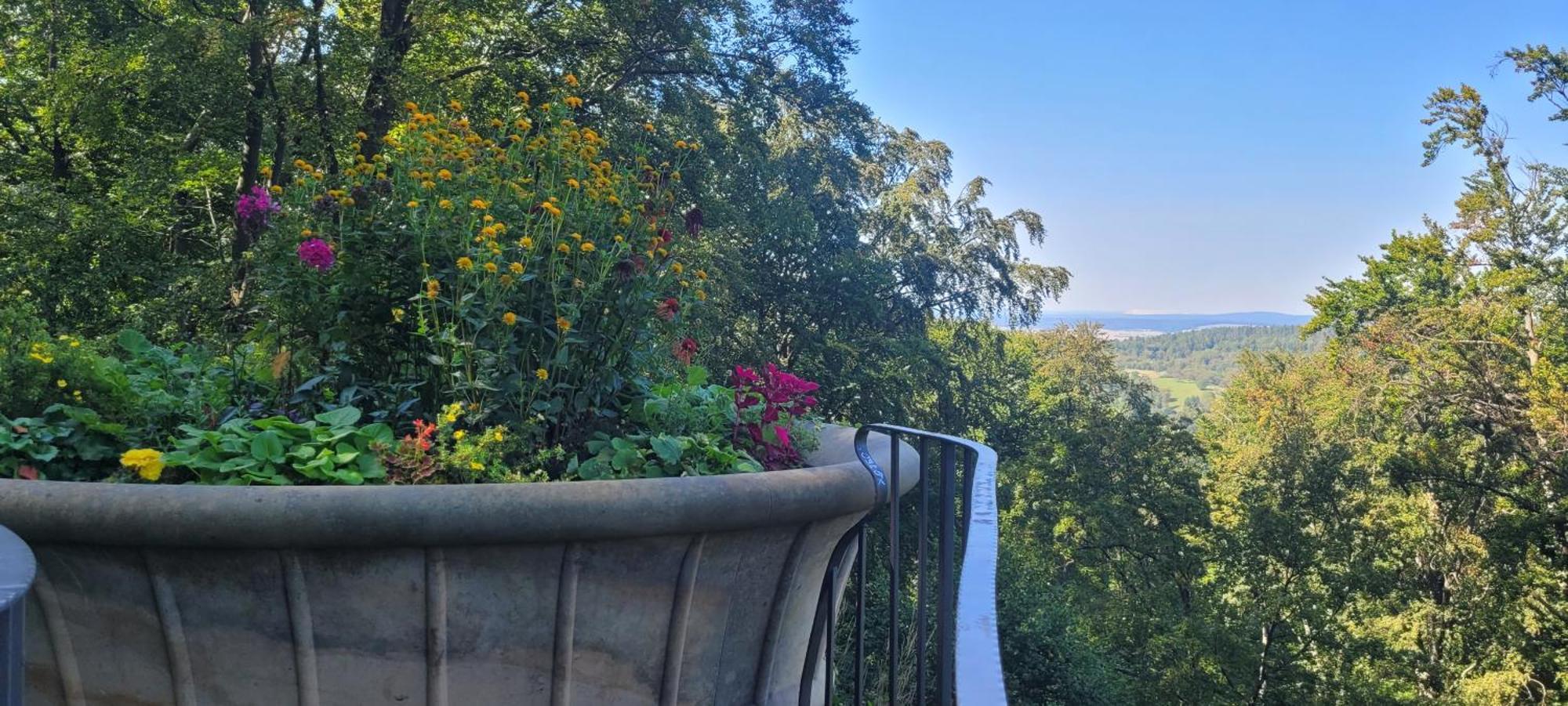 Villa Charlotte Bad Liebenstein Buitenkant foto