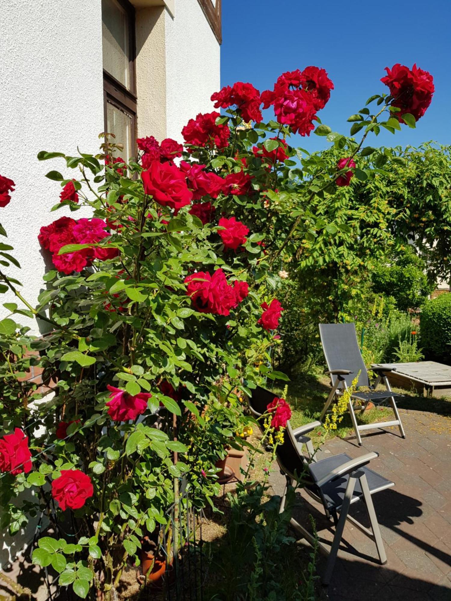 Villa Charlotte Bad Liebenstein Buitenkant foto