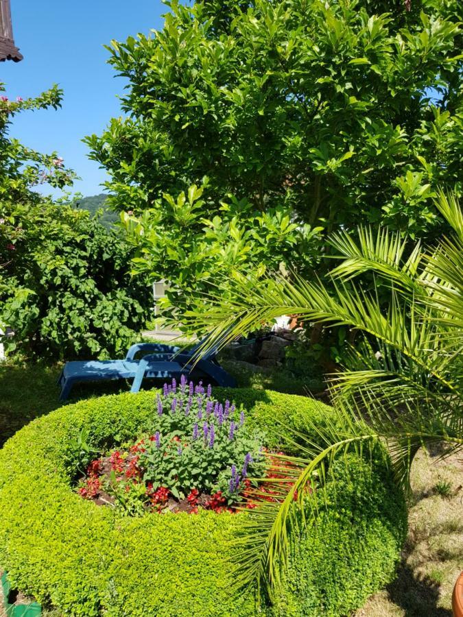 Villa Charlotte Bad Liebenstein Buitenkant foto