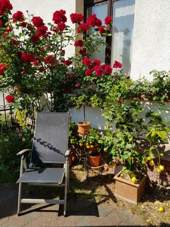 Villa Charlotte Bad Liebenstein Buitenkant foto